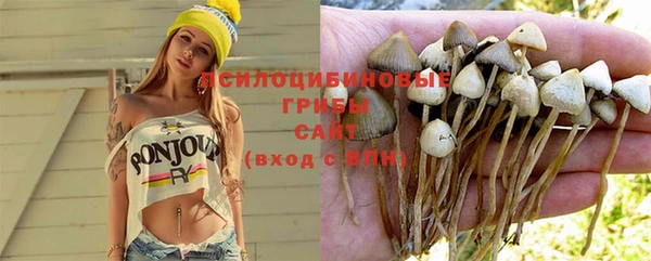 герыч Домодедово