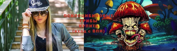 мескалин Медвежьегорск