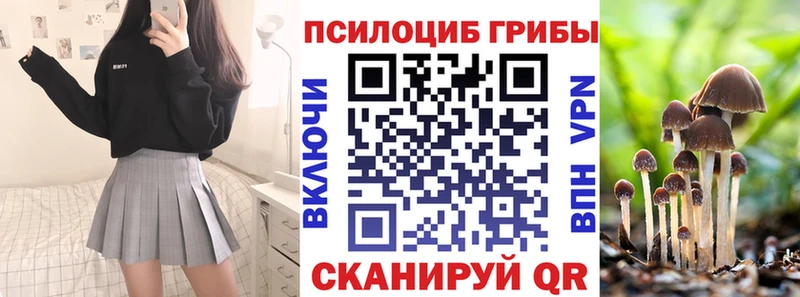 Псилоцибиновые грибы Psilocybine cubensis  KRAKEN   Омск 