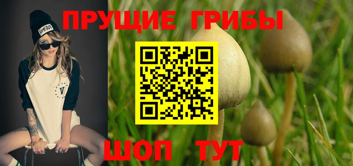 Псилоцибиновые грибы мухоморы  Омск  купить наркотики цена  Галлюциногенные грибы мухоморы 